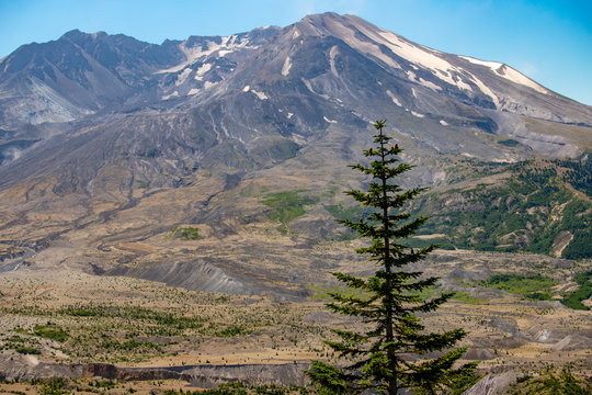 Mount Saint Helens Volcano as viewed from the Johnston Observatory in the Pacific Northwest USA Washington State