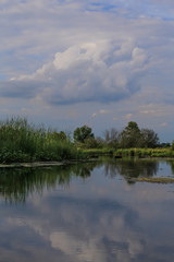 Obraz premium Subdued Reflection