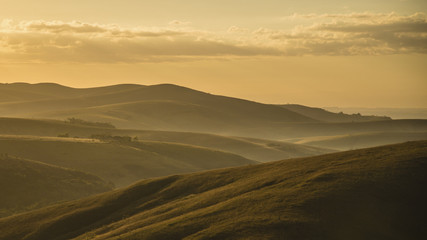 Foggy Landscape View