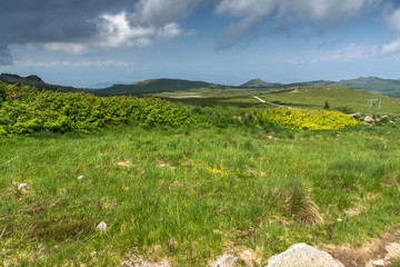 Fototapeta na wymiar Panorama with green hills of Vitosha Mountain near Cherni Vrah Peak, Sofia City Region, Bulgaria