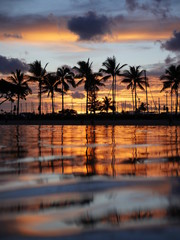 palm trees hawaii sunset water reflection ripple background 