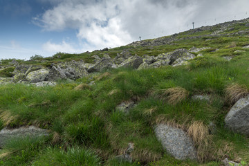 Fototapeta na wymiar Panorama with green hills of Vitosha Mountain near Cherni Vrah Peak, Sofia City Region, Bulgaria