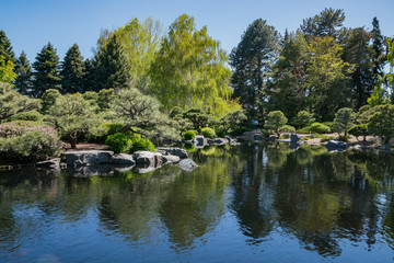 Fototapeta na wymiar Japanese garden in the Botanic Garden