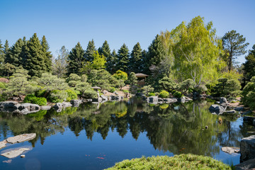 Japanese garden in the Botanic Garden
