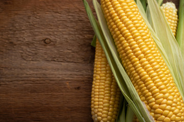 Fresh corn on cobs on rustic wooden table, closeup. Top view with copy space