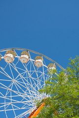 Fototapete bei efototapeten.de bestellen   