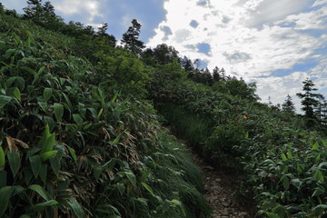 苗場山の祓川コースからの風景 / Mountainscape at Mount Naeba