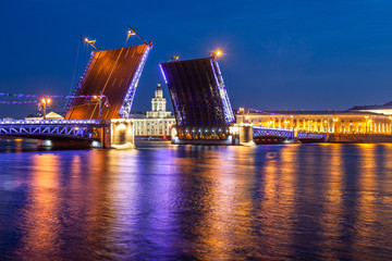 Fototapeta na wymiar Saint Petersburg. Drawbridge. The Palace Bridge. Night view of Petersburg. Cities of Russia. Neva River. Vasilievsky Island.