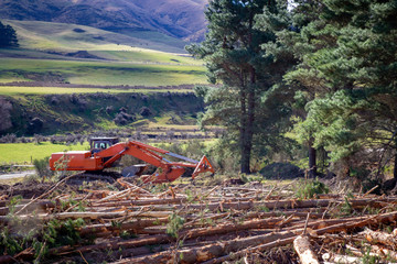 Heavy logging machinery at a forestry logging site