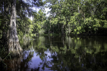 Shingle Creek South 2