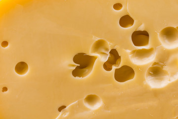 yellow cheese with holes