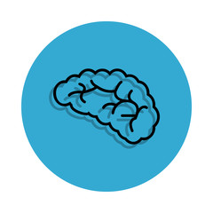 bacteria icon on white background