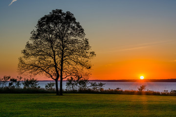 Fototapeta na wymiar A tree at sunset, at Elk Neck State Park, Maryland