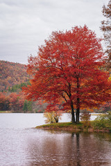 Autumn color at Sherando Lake, near the Blue Ridge Parkway in George Washington National Forest, Virginia.