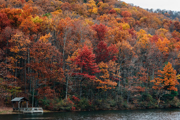 Obraz premium Autumn color at Sherando Lake, near the Blue Ridge Parkway in George Washington National Forest, Virginia.