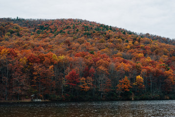 Autumn color at Sherando Lake, near the Blue Ridge Parkway in George Washington National Forest, Virginia.