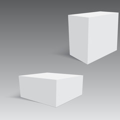 Blank paper or cardboard box packing. Vector