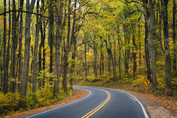 Obraz premium Early autumn color along Skyline Drive in Shenandoah National Park, Virginia