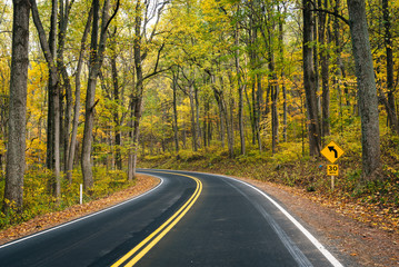 Fototapeta premium Early autumn color along Skyline Drive in Shenandoah National Park, Virginia