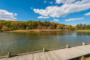 Early autumn color at Greenbrier Lake, at Greenbrier State Park in Maryland