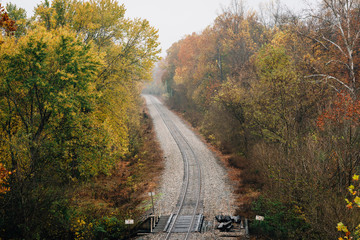 Fall color along a railroad track, from the Blue Ridge Parkway in Virginia