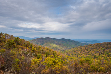Fototapeta na wymiar Fall color and Blue Ridge Mountains view from Skyline Drive in Shenandoah National Park, Virginia