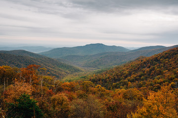 Fall color and Blue Ridge Mountains view from Skyline Drive in Shenandoah National Park, Virginia