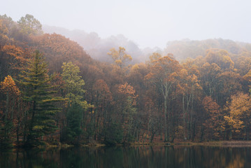 Fall color and fog at Peaks of Otter Lake, on the Blue Ridge Parkway in Virginia