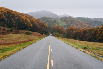 Fall foliage along the Blue Ridge Parkway in the Appalachian Mountains of Virginia