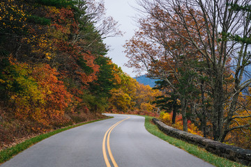 Fototapeta premium Fall foliage along the Blue Ridge Parkway in the Appalachian Mountains of Virginia