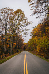 Fall foliage along the Blue Ridge Parkway in the Appalachian Mountains of Virginia