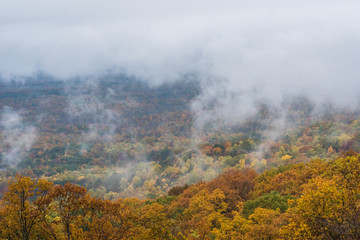 Foggy autumn view from the Blue Ridge Parkway, in Virginia.