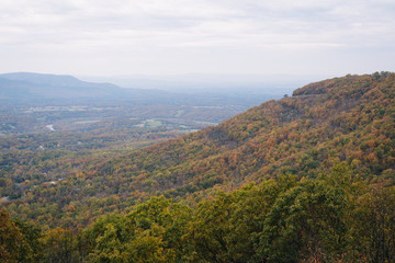 Fototapeta na wymiar Hazy autumn view from Skyline Drive in Shenandoah National Park, Virginia