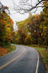 Autumn color along Skyline Drive in Shenandoah National Park, Virginia