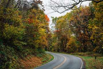 Obraz premium Autumn color along Skyline Drive in Shenandoah National Park, Virginia