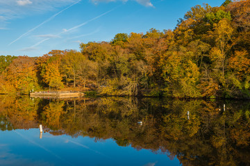 Autumn color at Lake Roland at Robert E Lee Park in Baltimore, Maryland