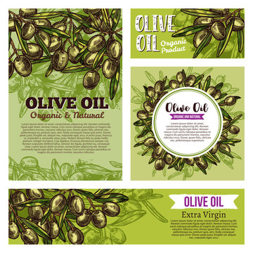 Olive oil labels with fruits and green branches