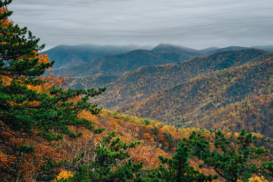 Autumn Blue Ridge Mountain View, from the Blue Ridge Parkway in the Appalachian Mountains of Virginia