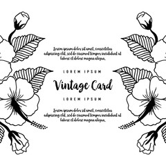Flower design vintage card collection vector illustration