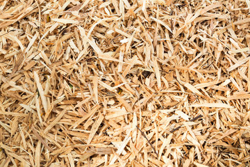 Wooden sawdust nature texture background