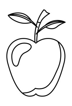 apple fresh fruit healthy vector illustration design