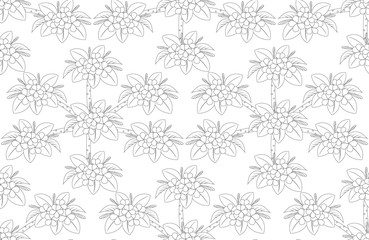 outline of plumeria flower tree top view, vector draw seamless on white background