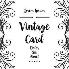 Vintage card hand lettering template collection vector illustration