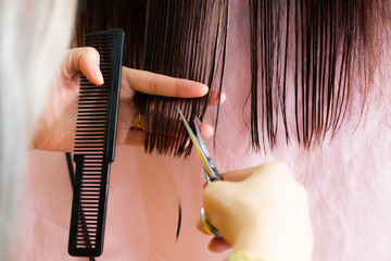 women in beauty hair salon . hairdresser cut damaged long hair .