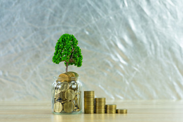 Tree growing on pile of golden coins, growth business finance investment and Corporate Social Responsibility or CSR practice and sustainable development concept.