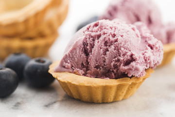 Fruit ice cream with blueberries