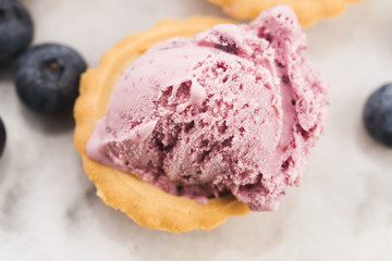 Fruit ice cream with blueberries