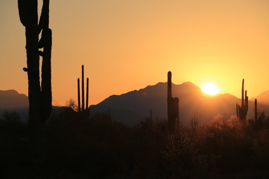 Sunrise over the Desert 4
