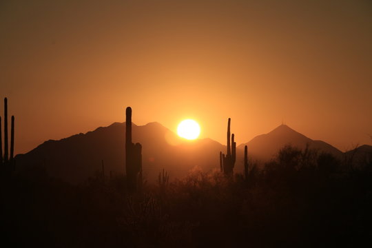 Sunrise over the Desert 3