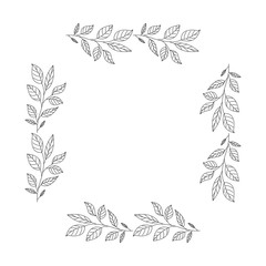 leafs square frame decorative vector illustration design